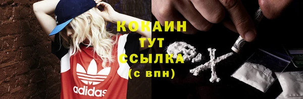 мдпв Карпинск