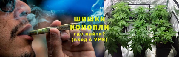 соль ск Касимов