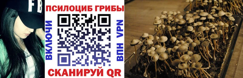 KRAKEN сайт  Хвалынск  Галлюциногенные грибы ЛСД 